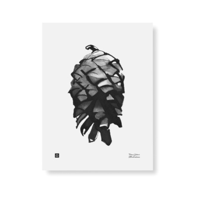 Black & white pine cone art print