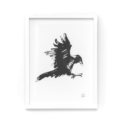 Raven framed wall art