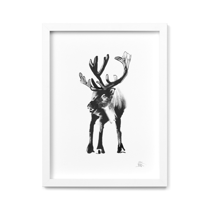 Reindeer fine art print