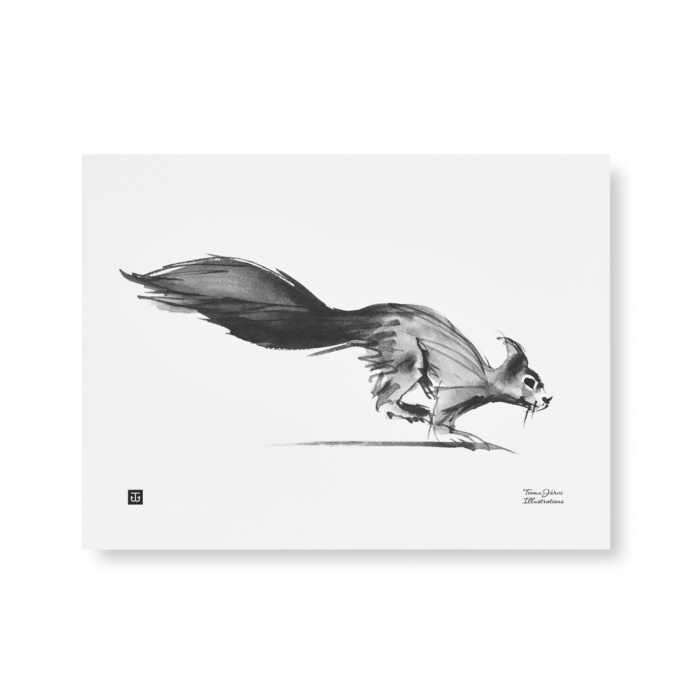 Black & white squirrel art print