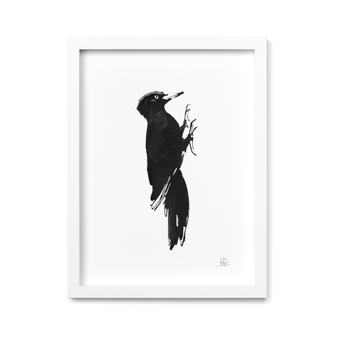 Woodpecker fine art print
