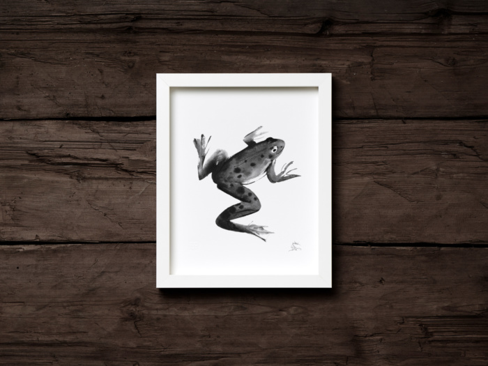 Frog fine art print