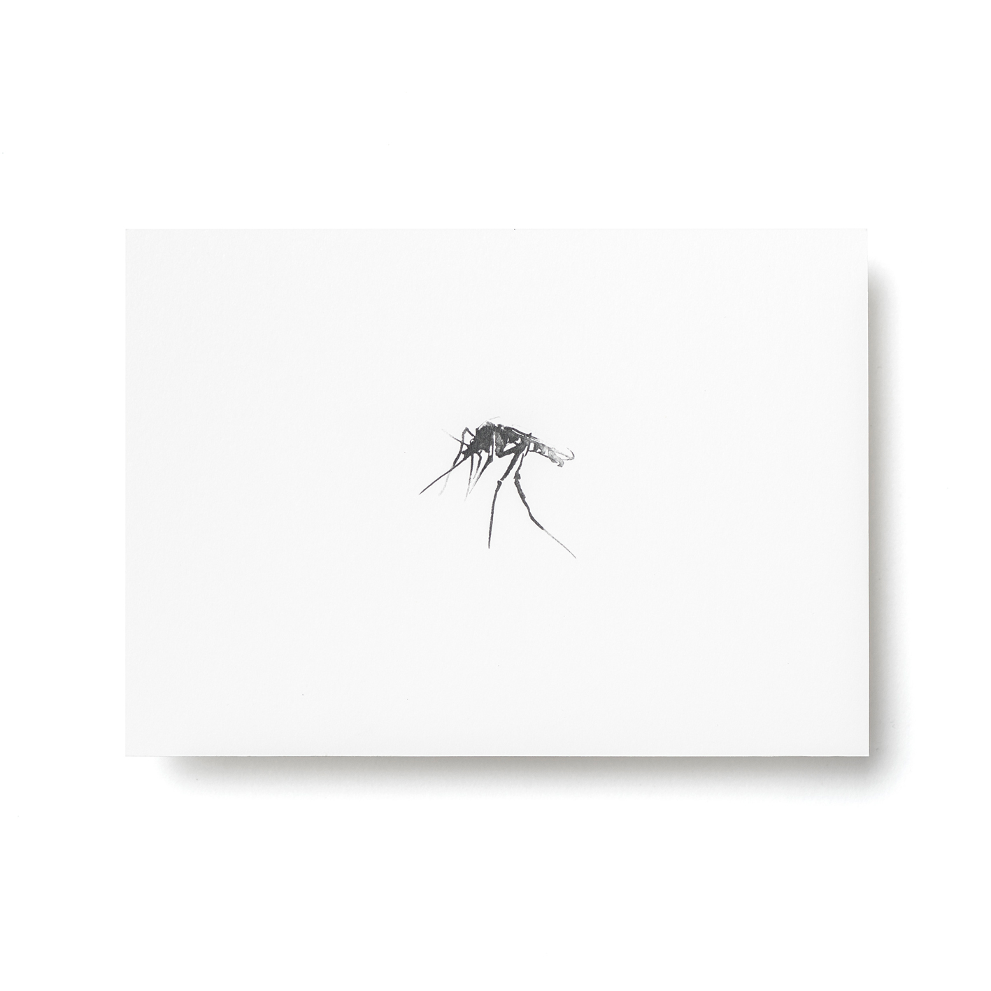 Hyttynen-postikortti