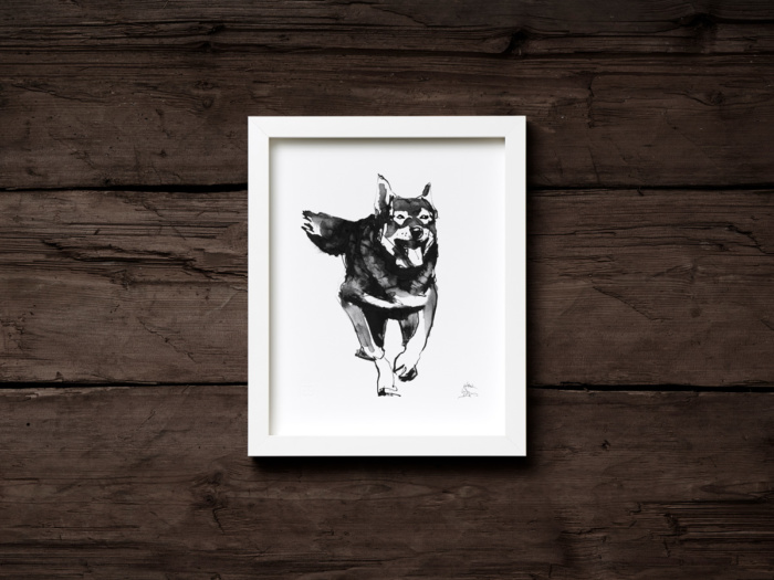 Elkhounddog fine art print