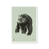 Spring Green Gentle Bear Wall Art