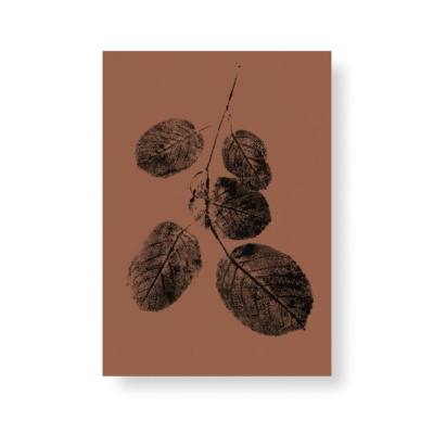 Autumn colored goat willow branch mini poster