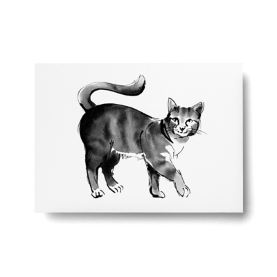 Kissa-postikortti